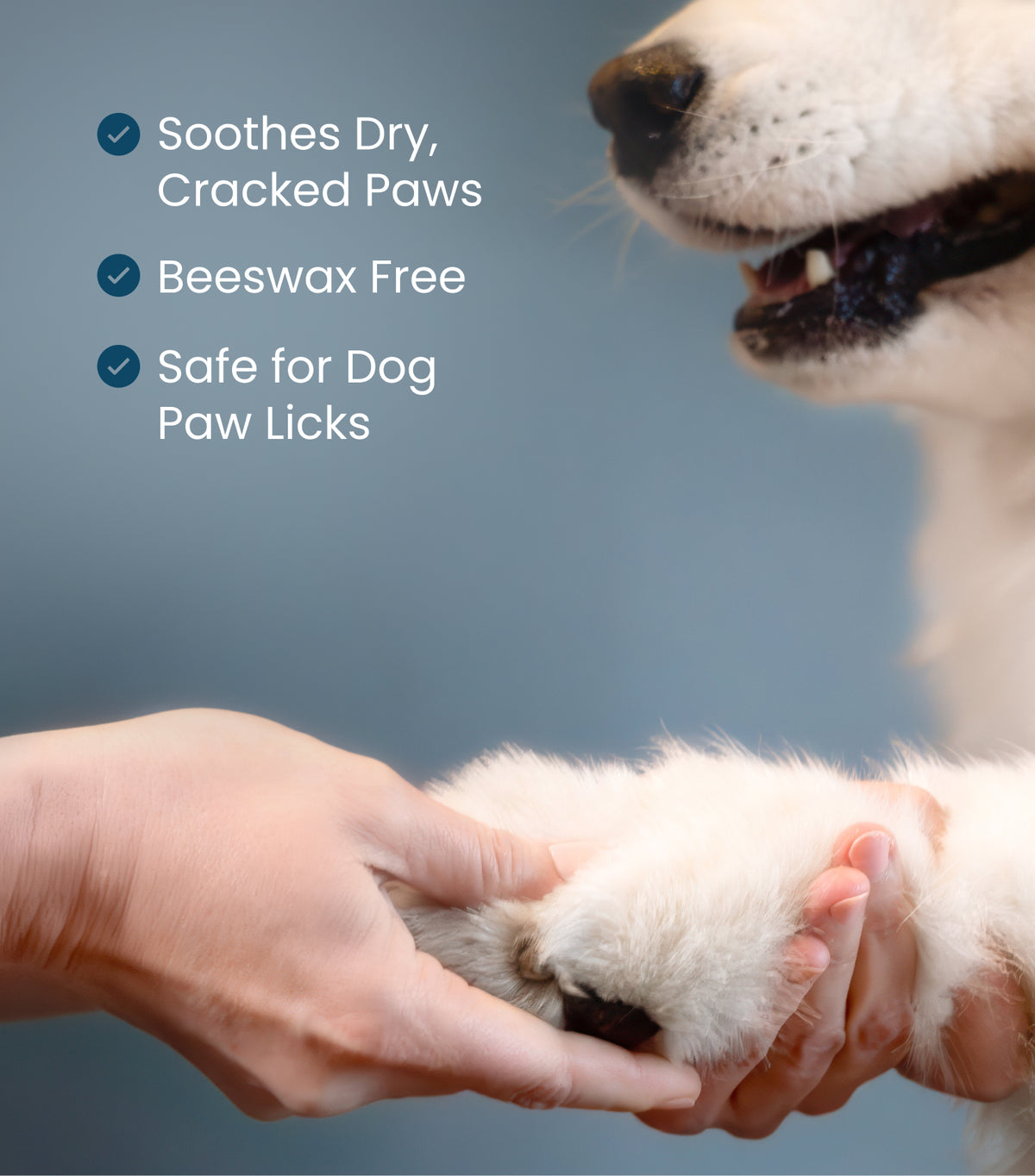 Paw Protector