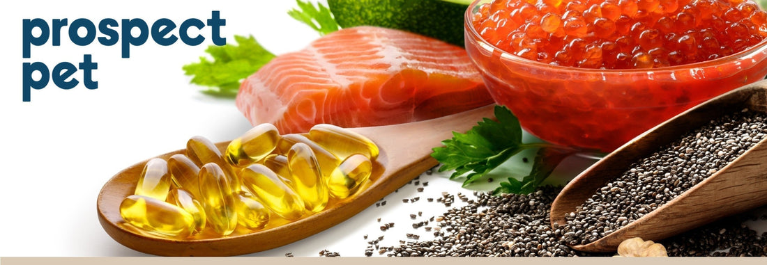 Wild-Caught vs Farmed – There’s a BIG Difference in Your Dogs Salmon Oil