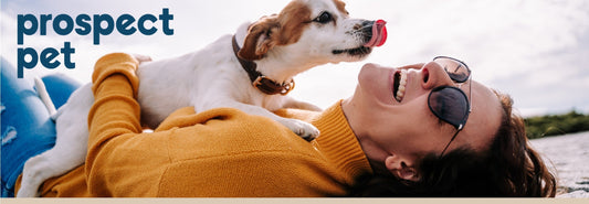 Responsible Pet Parenting - What Every Pet Parent Should Know