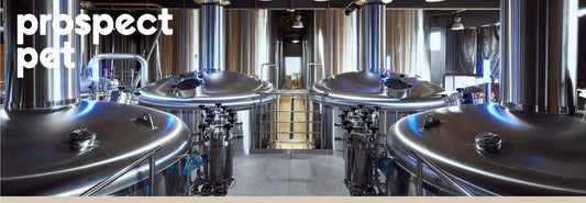 Cold-Processed vs. Heat-Processed Pet Supplements: