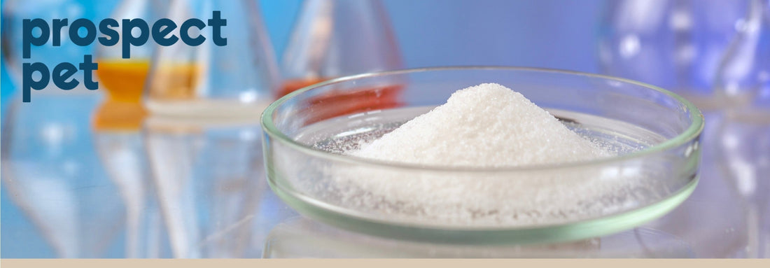 MSM vs. OptiMSM®: What’s the Difference for Your Dog?