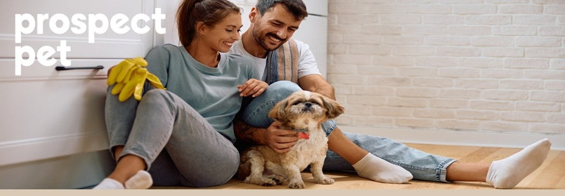 Spring-Cleaning Inside & Out: Hidden Household Dangers for Dogs