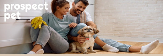 Spring-Cleaning Inside & Out: Hidden Household Dangers for Dogs