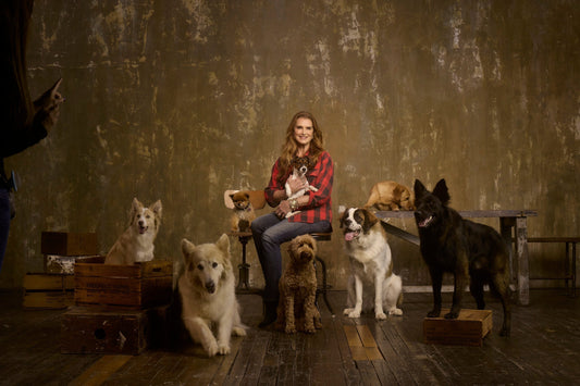 Trust, Transparency Draw Brooke Shields to Pet Industry, CBD Health Sector