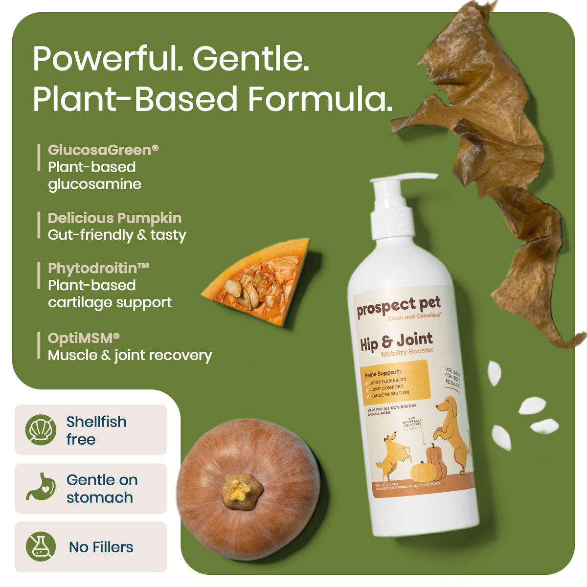 Hip & Joint Mobility Booster